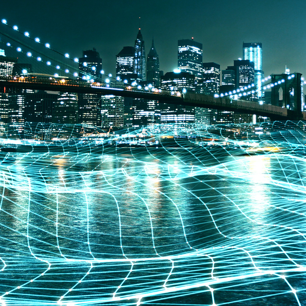 Smart Water Grid